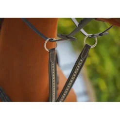 Flèche de Martingale Point Sellier - Noir