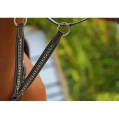 Flèche de Martingale Point Sellier - Noir