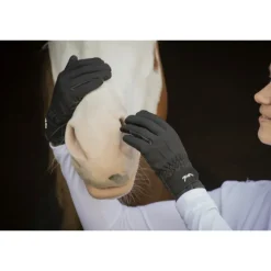 Gants d'Equitation confort - Noir