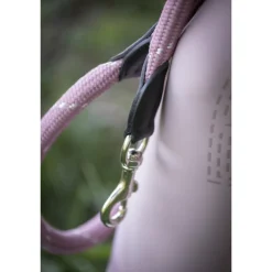 Laisse pour Chien Billie - Rose