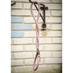 Laisse pour Chien Billie - Rose