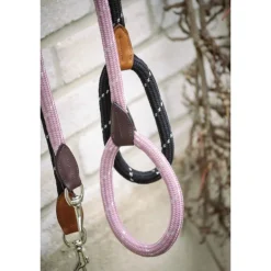 Laisse pour Chien Billie - Rose