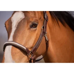 Licol Harmonie - Havane