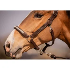 Licol Harmonie - Havane