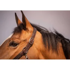 Licol Harmonie - Havane