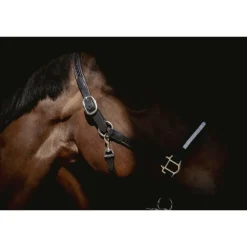 Licol Harmonie - Noir