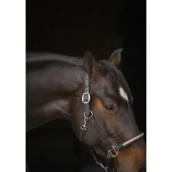 Licol Harmonie - Noir
