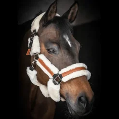 Licol Soft - Noir & Beige