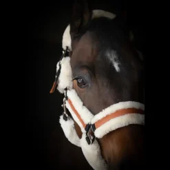 Licol Soft - Noir & Beige