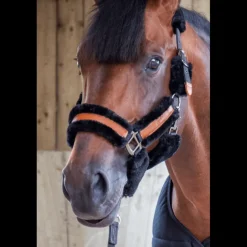 Licol Soft - Noir & Noir