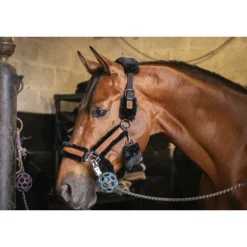 Licol Soft - Noir & Noir