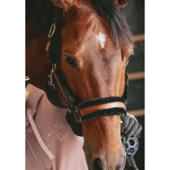 Licol Soft - Noir & Noir