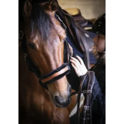 Licol Soft - Noir & Noir