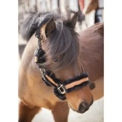 Licol Soft - Noir & Noir
