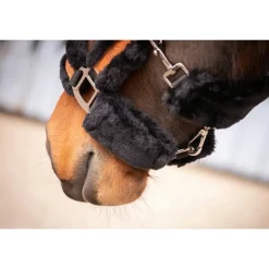 Licol Soft - Noir & Noir