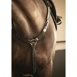 Martin-Collier - Noir