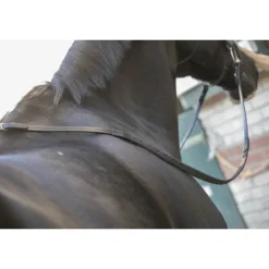 Rênes caoutchouc Daily