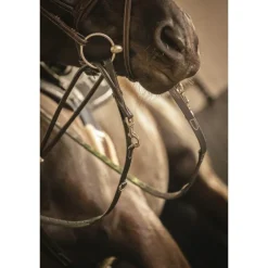 Rênes Howlett en Cuir - Noir